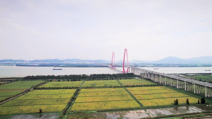 广东江门中开高速银洲湖特大桥航拍4K