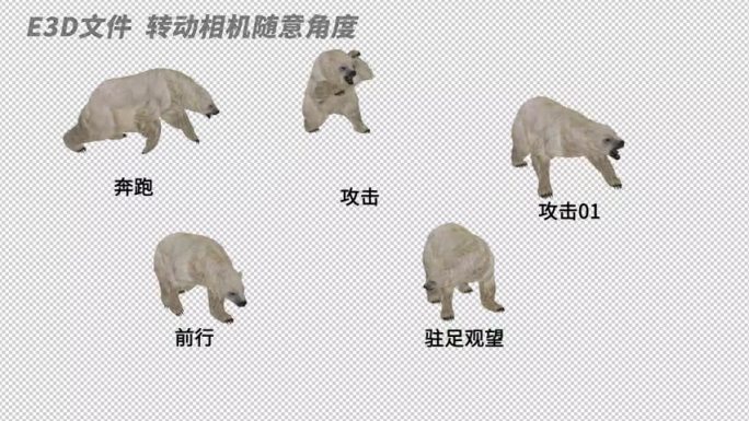 AE自由调整动物模型系列_《熊》