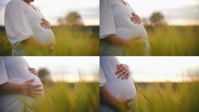 孕妇站在绿色的麦田里