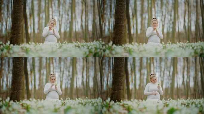 一个孕妇坐在树林里雪白的雪花莲花中间