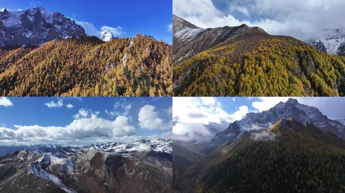 大美川西稻城亚丁雪山秋景合集