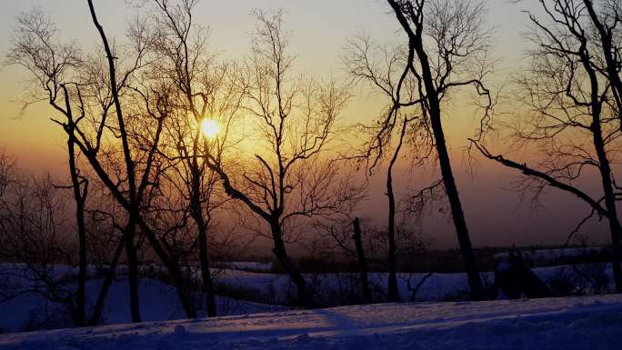 冬季长白山林间黄昏落日唯美空镜