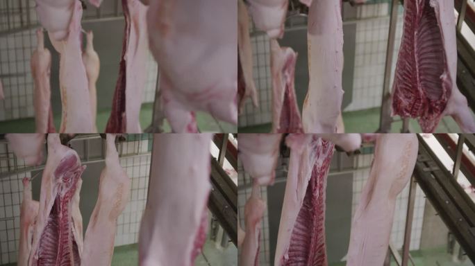 猪的尸体从屠宰场的下层搬到上层。