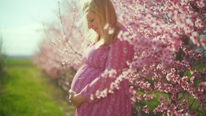 身穿粉色连衣裙的孕妇站在粉色的樱花中