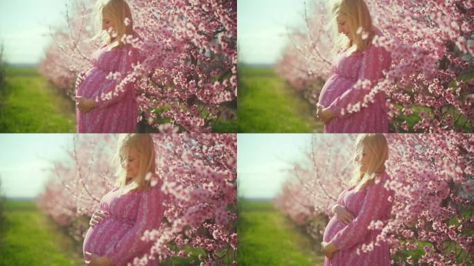 身穿粉色连衣裙的孕妇站在粉色的樱花中
