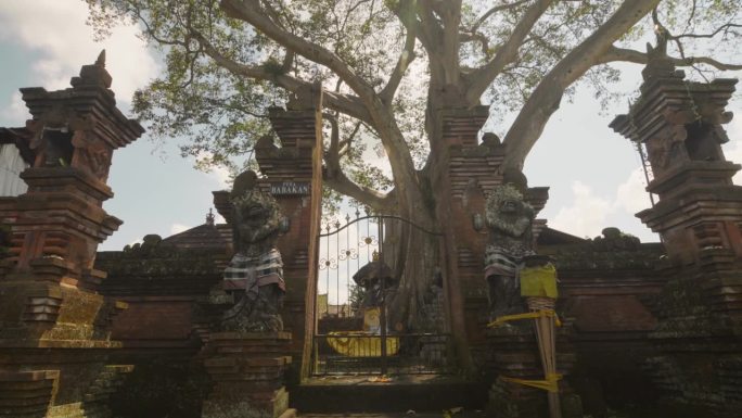 镜头聚焦到印尼古老寺庙的砖制传统大门。背景中的大树。