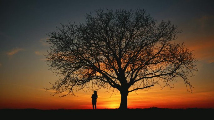 日出时孕妇站在树下的剪影