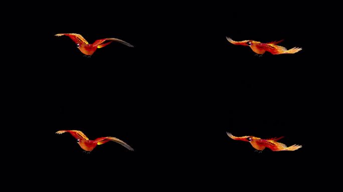 凤凰鸟-炽热的红色-飞行环-侧面角度视图CU - Alpha频道