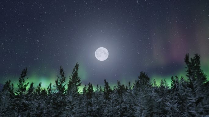 4k神秘唯美月夜极光飘雪针叶林