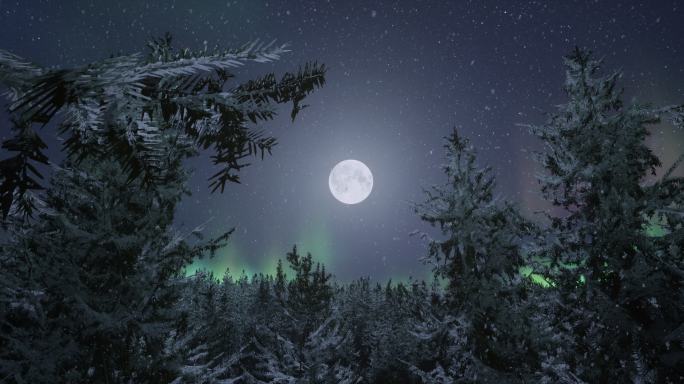 4k唯美月夜极光飘雪针叶林背景