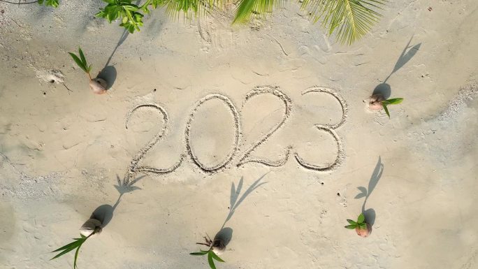 2023年写在沙滩上的白色沙滩上，还有年轻的椰子树