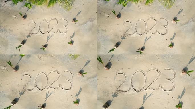 2023年写在沙滩上的白色沙滩上，还有年轻的椰子树