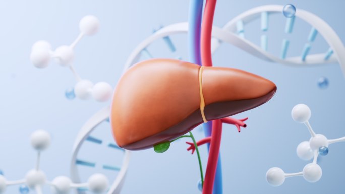 肝脏与生物科技背景3D渲染