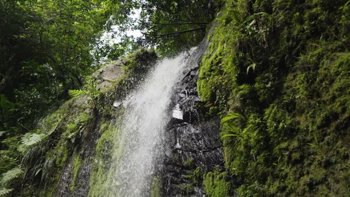 波多黎各丛林中瀑布的慢动作倾斜镜头