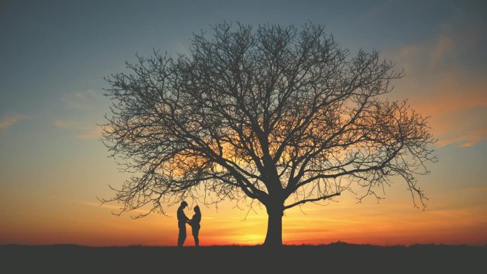 日出时，一对怀孕的夫妇站在树下