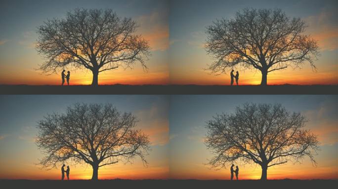 日出时，一对怀孕的夫妇站在树下