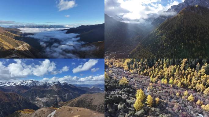 大美川西稻城亚丁雪山秋景合集