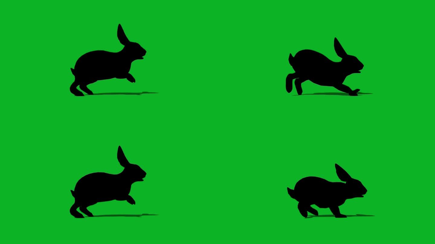 绿色屏幕上兔子奔跑的剪影。4 k