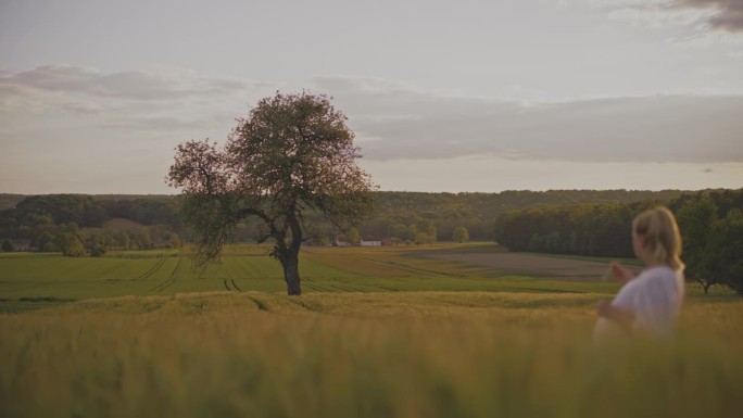 一名孕妇站在田园诗般的、有树的农村麦田里
