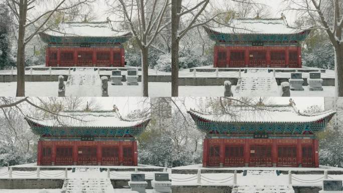 郑州胡公祠雪景