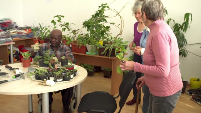 护理院的居民一起照顾室内植物