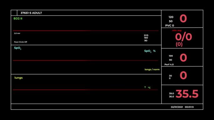 生命体征监测屏幕设计