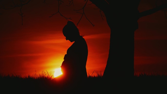 太阳在树下孕妇的剪影后面升起