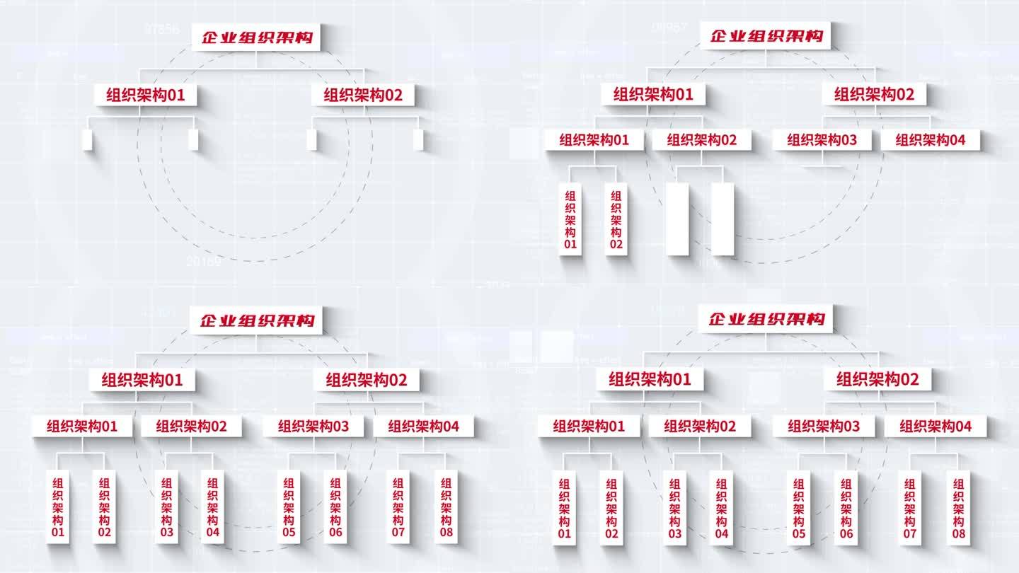 无插件-红色简洁干净组织架构AE模板5