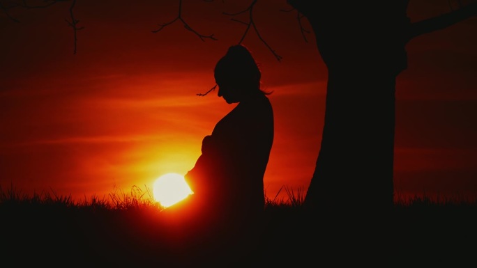 太阳在橘黄色的天空中升起，身后是站在树上的孕妇