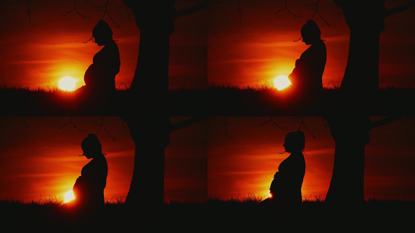 太阳在橘黄色的天空中升起，身后是站在树上的孕妇