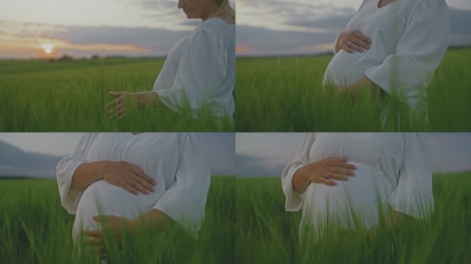 一名孕妇走在田园诗般的绿色麦田里