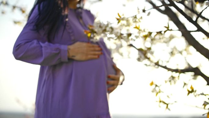 穿紫色衣服的孕妇在阳光明媚的树下揉着肚子