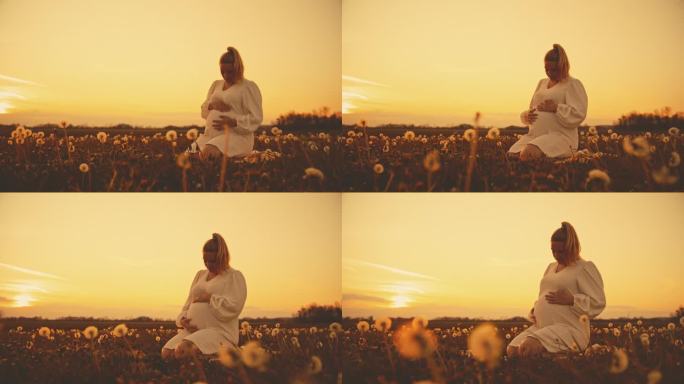 日出时，身穿白裙的孕妇坐在蒲公英丛中
