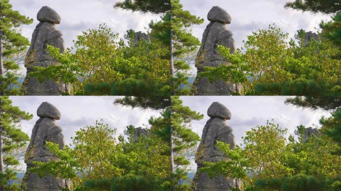 俄罗斯针叶林，龙岩的镜头