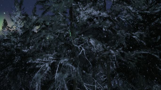 4k极光圆月针叶林森林上升航拍