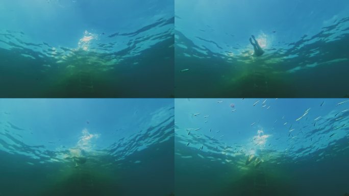 当一名潜水员靠近水下摄像机时，一名女子游回岸边