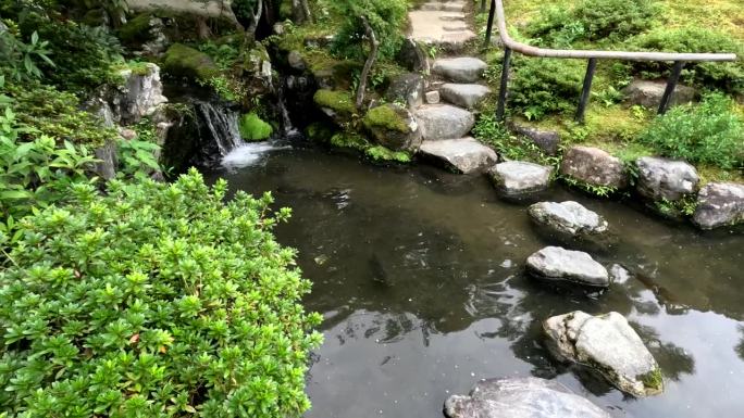 日本奈良美丽的日式花园;铺有垫脚石的锦鲤鱼塘;宁静的禅宗氛围。