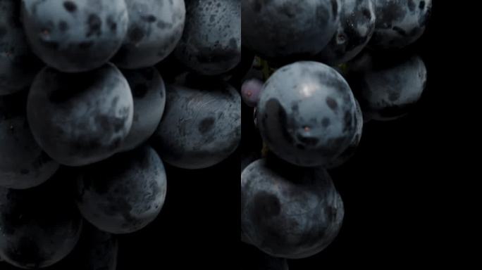 垂直视频。又圆又大的黑葡萄浆果，两束在黑色的背景上，旋转着。