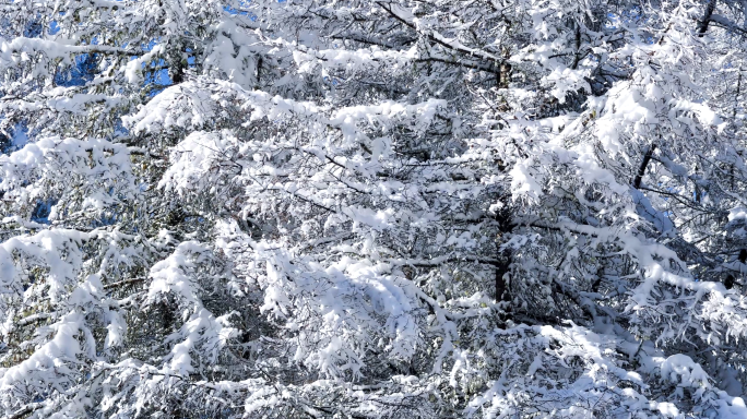 延时云海雪山 雪融化