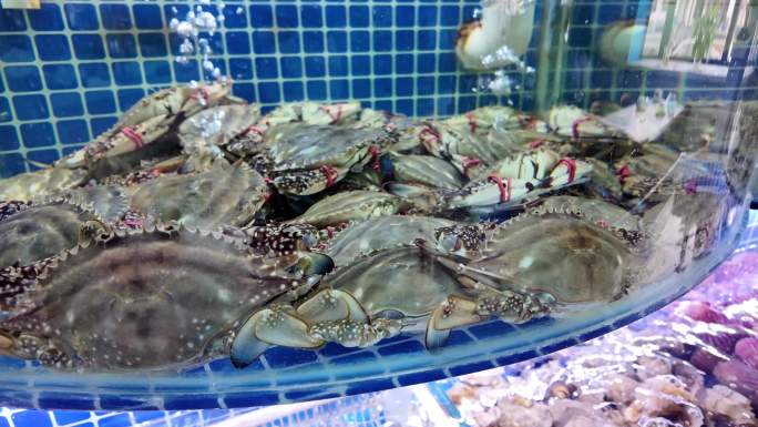 海鲜市场 螃蟹