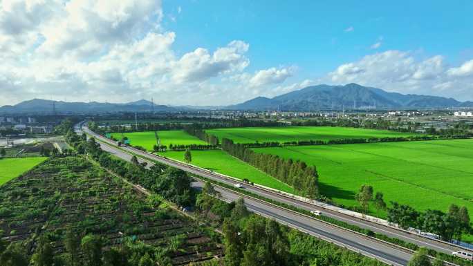 广东高速道路的稻田美丽乡村田野航拍