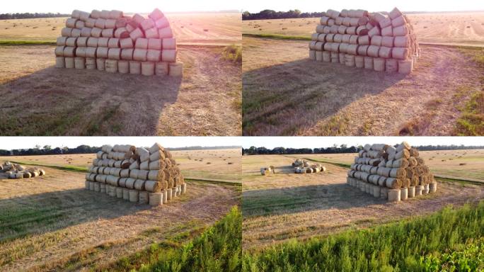夕阳初升时，田地里许多扭成一捆的干麦秆。收割后的大捆大捆稻草在田野上搓成卷。乡村阳光山水，乡村风光。