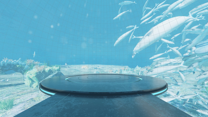 VR_8K海底世界360度全景