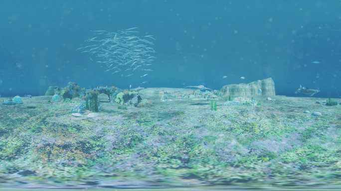 VR_8K海底世界360度全景