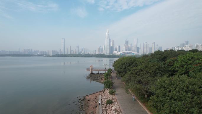 深圳湾公园早起运动健身
