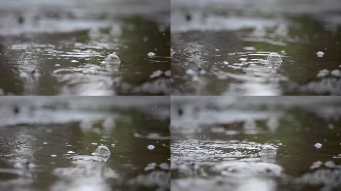 慢动作的雨滴打在水坑上，产生气泡;树木和天空倒映在水中。秋雨落下。