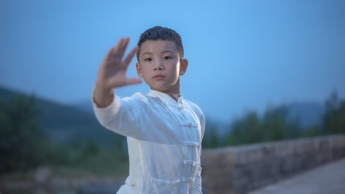 少年强则中国强少年励志习武