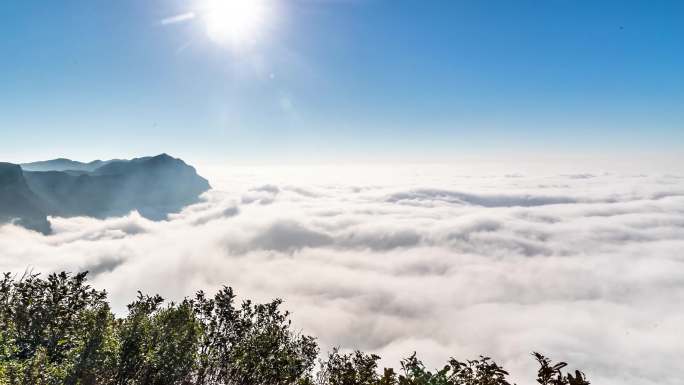 重庆南川：金佛山“观海”