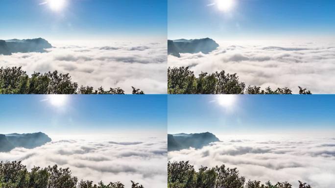 重庆南川：金佛山“观海”