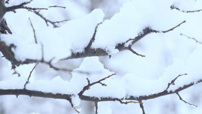 大雪后户外休闲赏雪玩耍拍照的人们